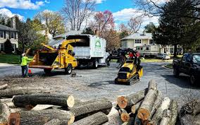 Best Lawn Mowing  in San Pablo, NM