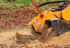 Best Pest Control for Lawns  in San Pablo, NM