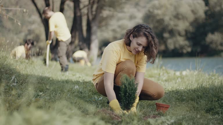 Best Tree Maintenance Programs  in San Pablo, NM